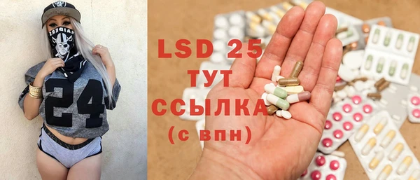 индика Алексин
