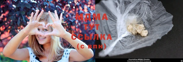 индика Алексин