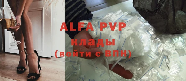 индика Алексин