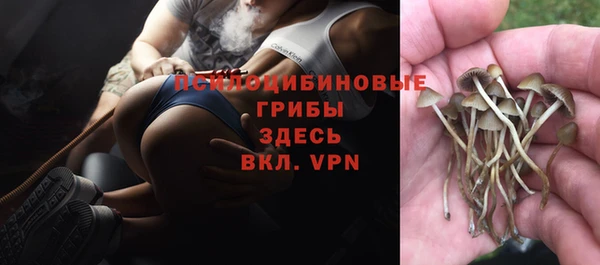 а пвп мука Алексеевка