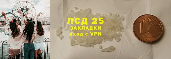 индика Алексин