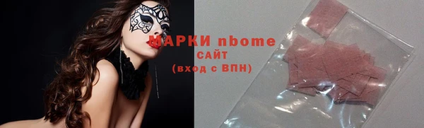 индика Алексин
