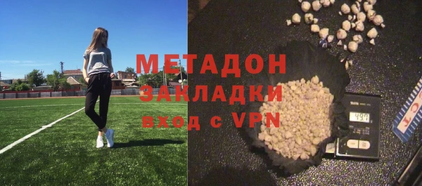 индика Алексин