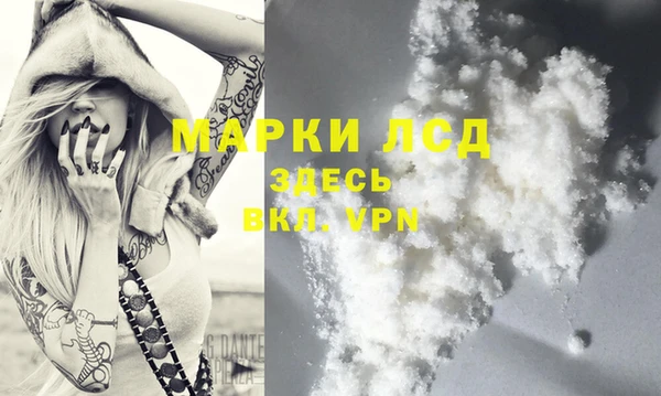 индика Алексин