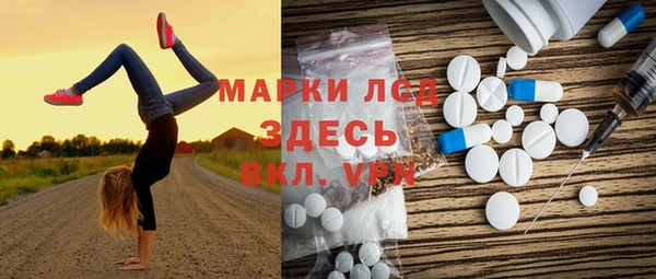 индика Алексин