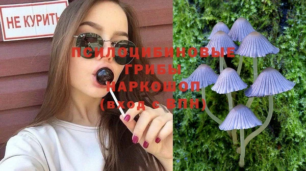 индика Алексин