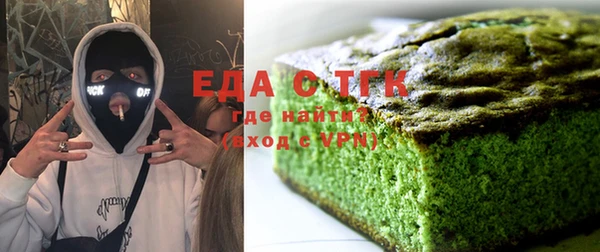 индика Алексин