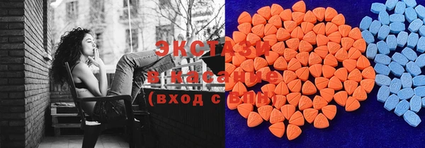 индика Алексин