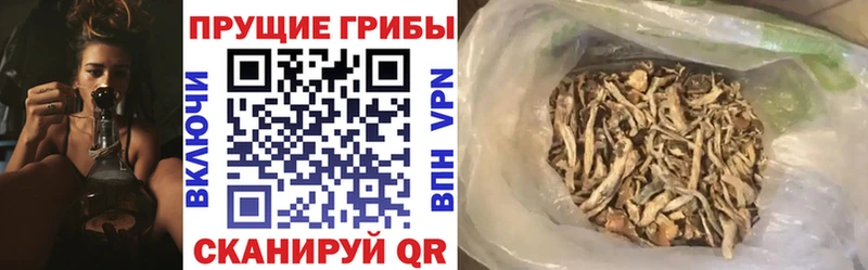 Псилоцибиновые грибы MAGIC MUSHROOMS  Западная Двина 